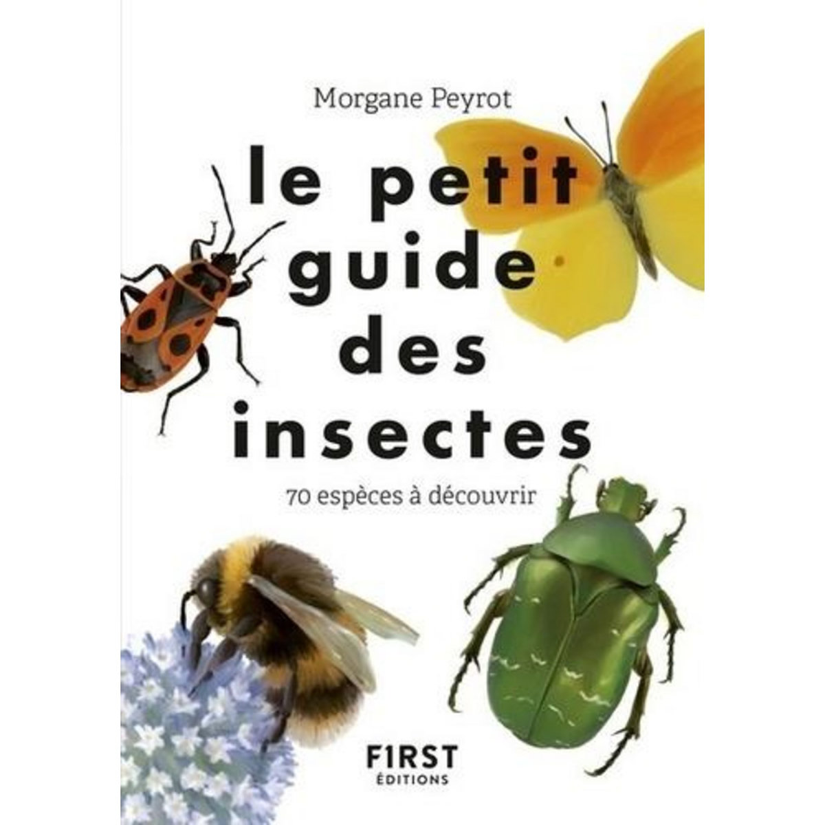 LE PETIT GUIDE DES INSECTES. 70 ESPECES A DECOUVRIR, Peyrot Morgane