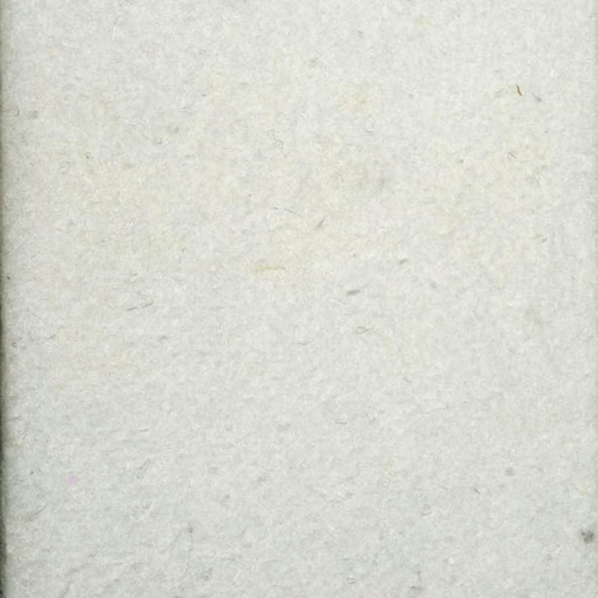 Ubbink Feutre géotextile de sécurité blanc prepacked 5 x 2 m- 200g/m² - Ubbink