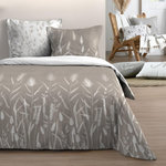 STOF Housse de couette 260x240 PAMPA + 2 taies coton 57 fils
