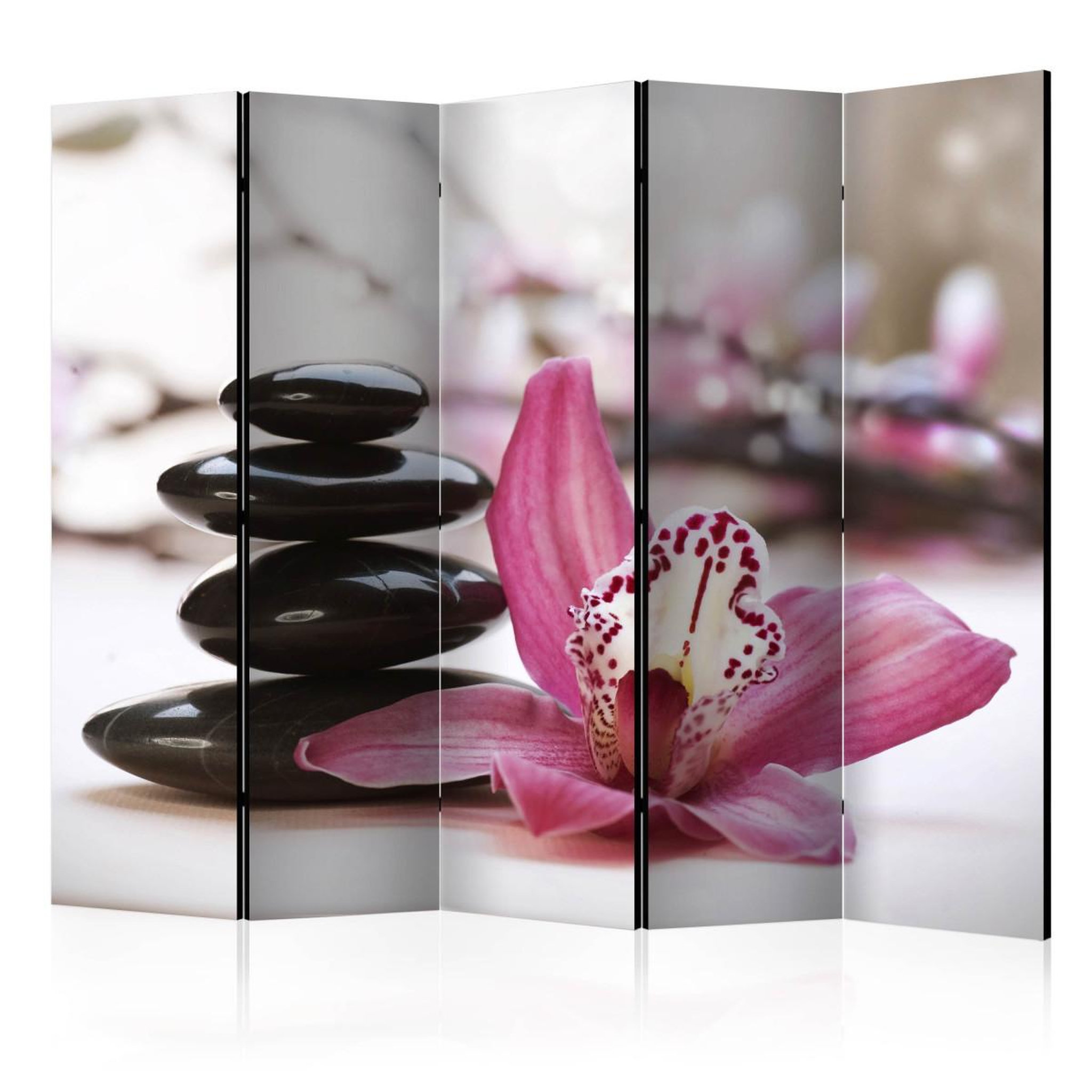 Paris Prix Paravent 5 volets  relaxation & wellness  172x225cm