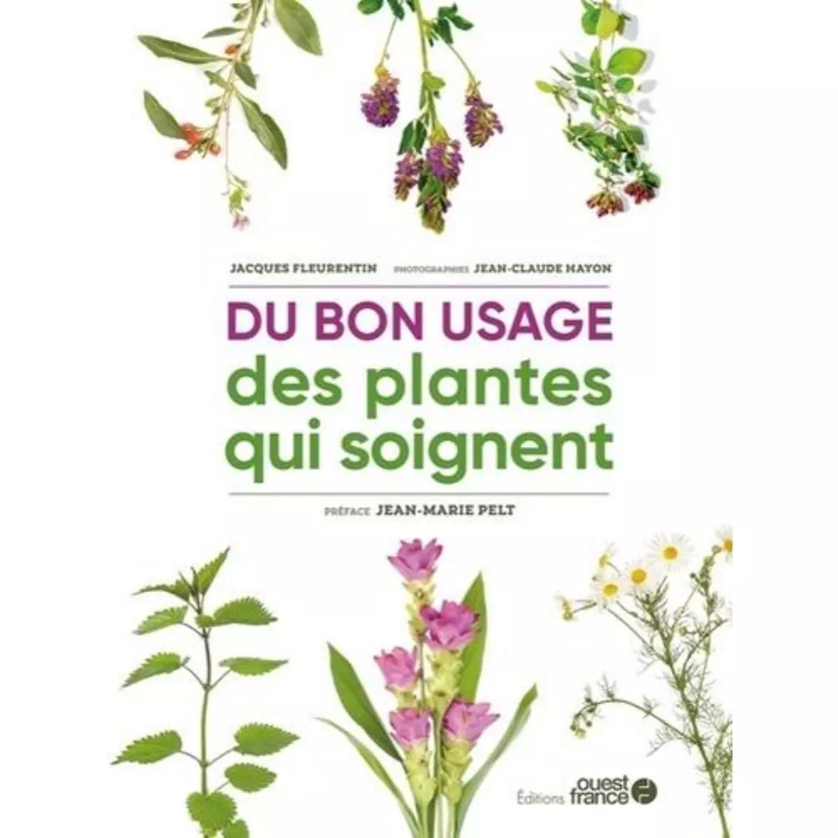  DU BON USAGE DES PLANTES QUI SOIGNENT, Fleurentin Jacques