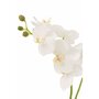 Paris Prix Fleur Artificielle Déco  Orchidée en Terre  54cm Blanc