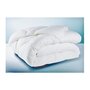 Voir la diapositive 1 : GENERIQUE Couette 350g Anti-Acariens 140x200cm