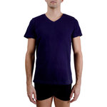 PIERRE CARDIN T-shirt homme en col v avec broderie sur la poitrine. Coloris disponibles : Bleu
