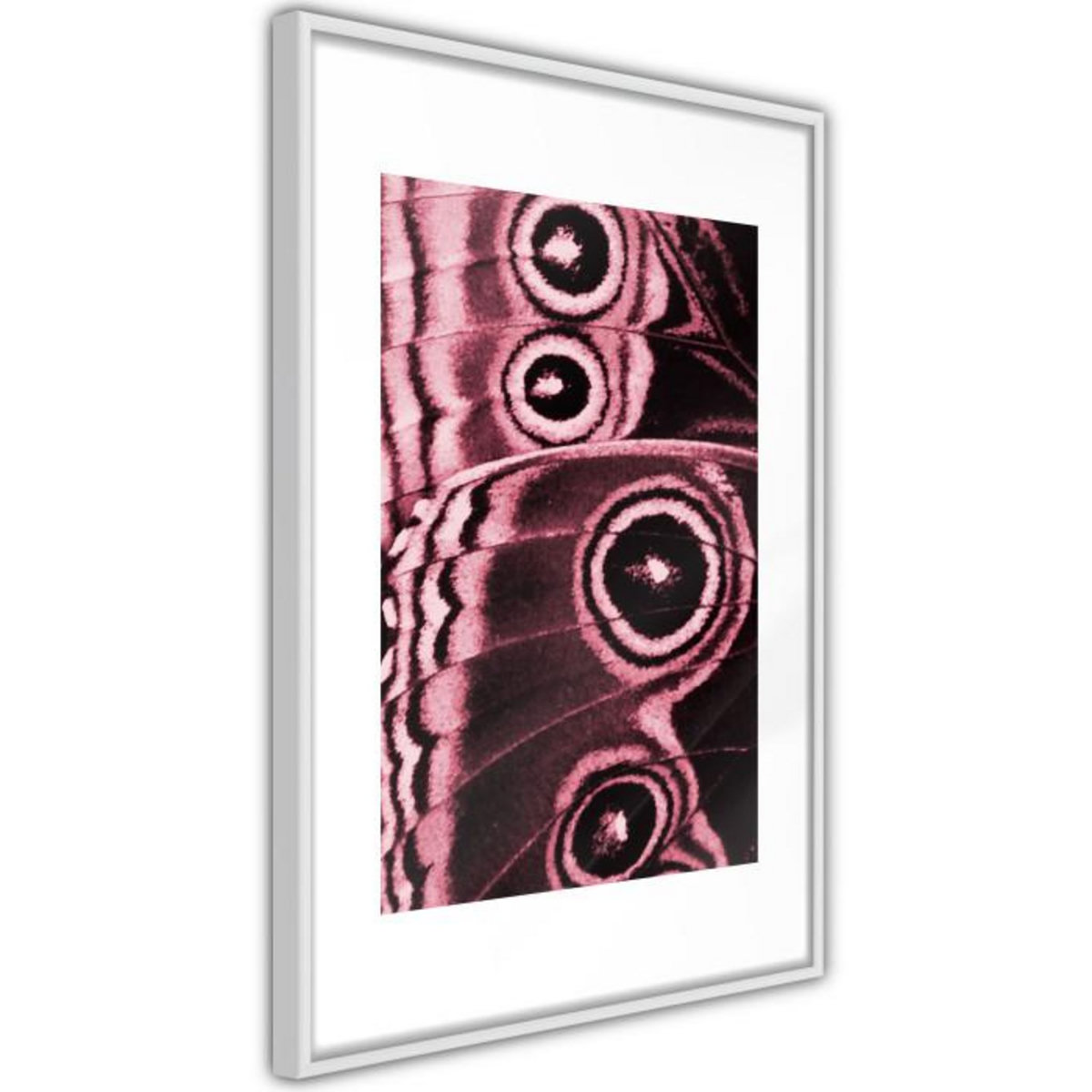 Paris Prix Affiche Murale Encadrée  Butterfly Wings