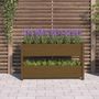 Voir la diapositive 3 : VIDAXL Jardiniere Marron miel 112x25x66 cm Bois massif de pin