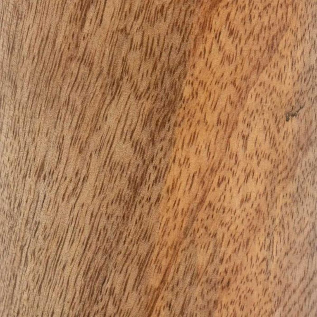 ATMOSPHERA Lot de 2 Bougeoirs  Tropical  22cm Marron