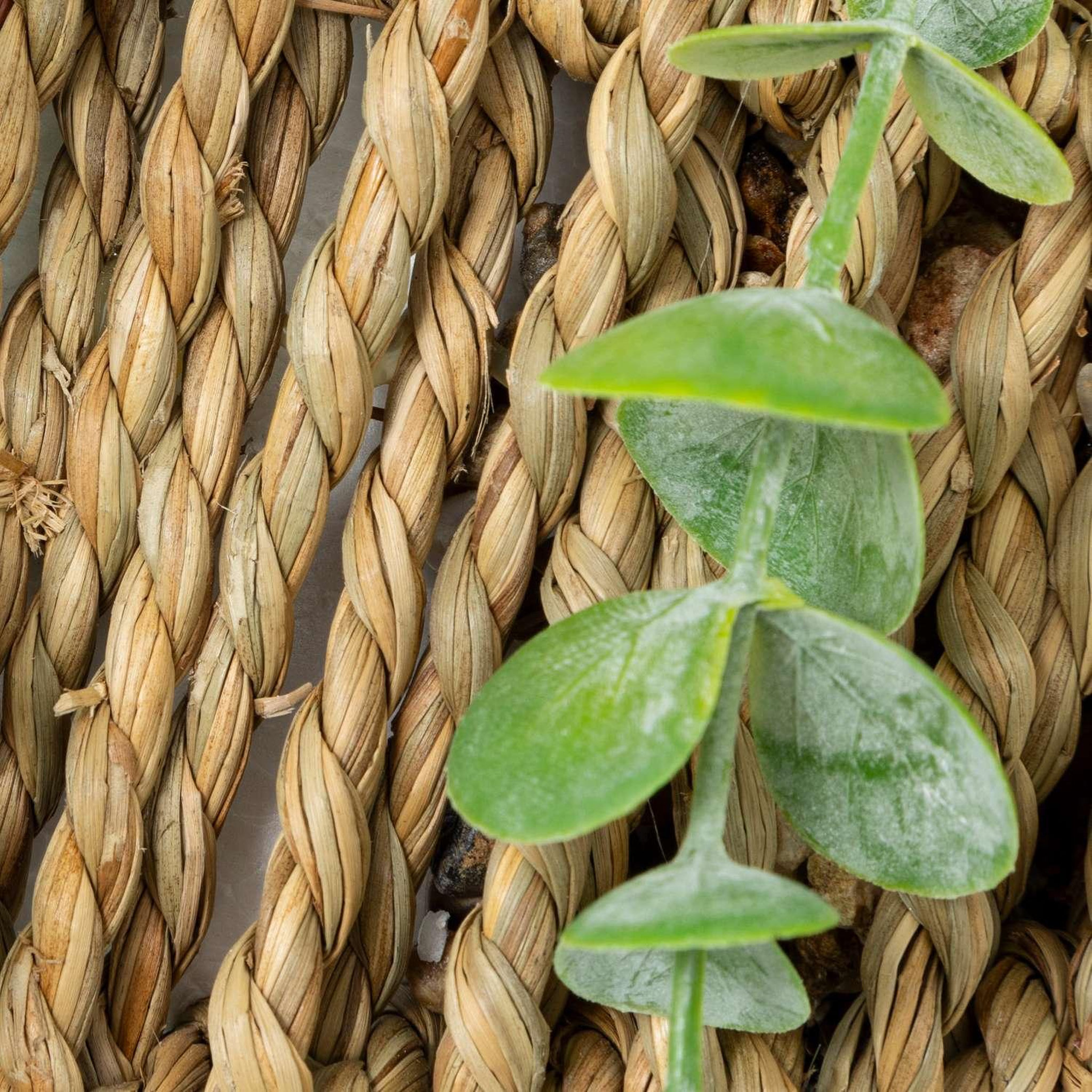 Voir la diapositive 4 : ATMOSPHERA Eucalyptus à suspendre avec pot naturel - h. 70 cm