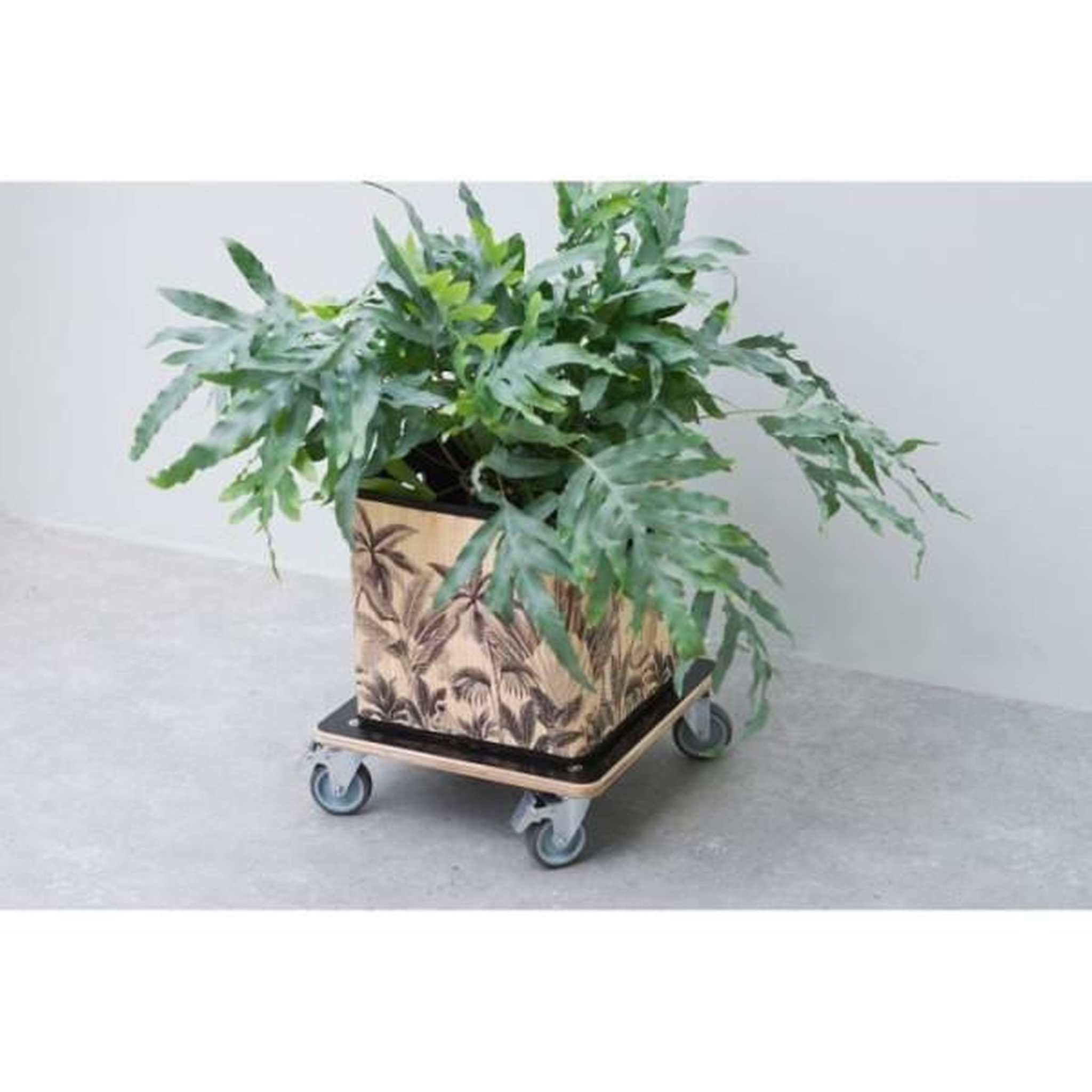 Voir la diapositive 2 : NATURE Tablette a roulettes pour plantes - NATURE - Chariot a plantes carré - Bois noir - 38x38 cm - Charge 250 kg