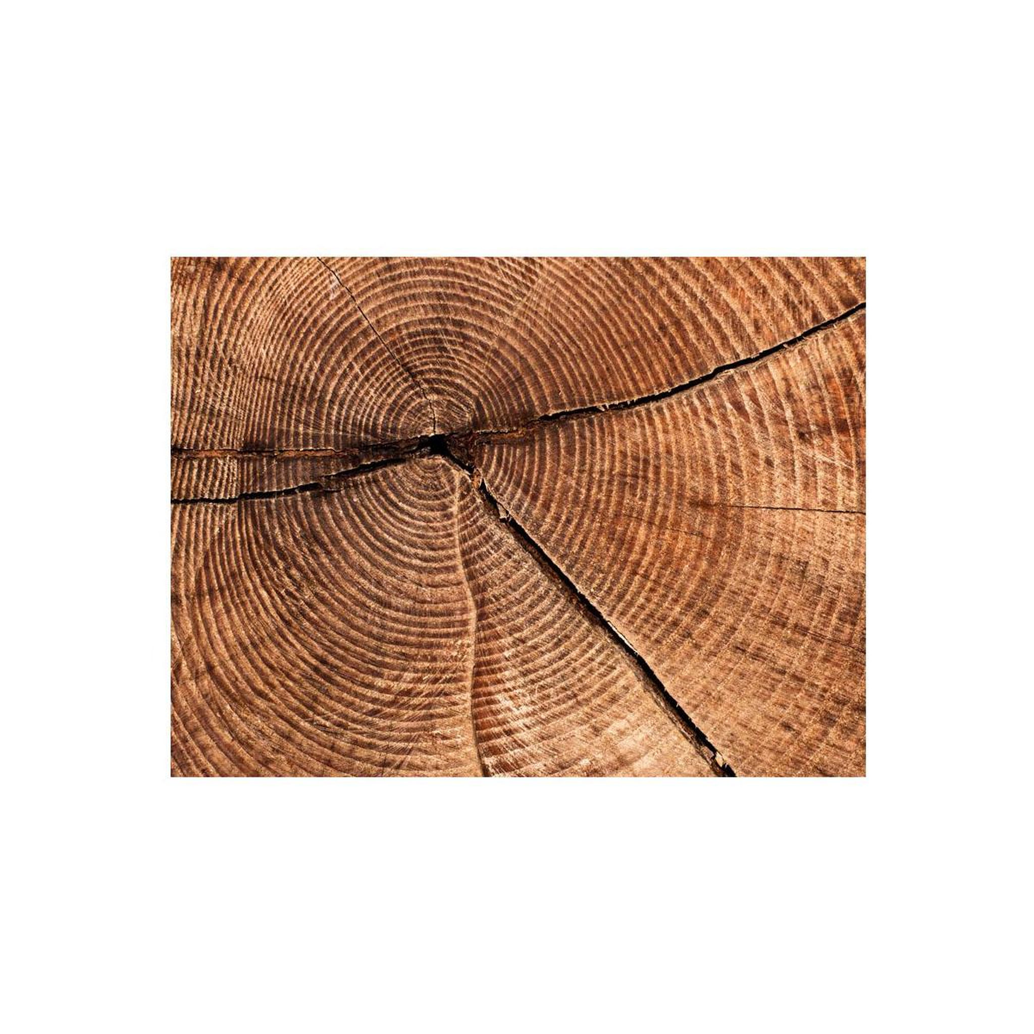 Voir la diapositive 2 : Paris Prix Papier peint  coupe d'un tronc d'arbre