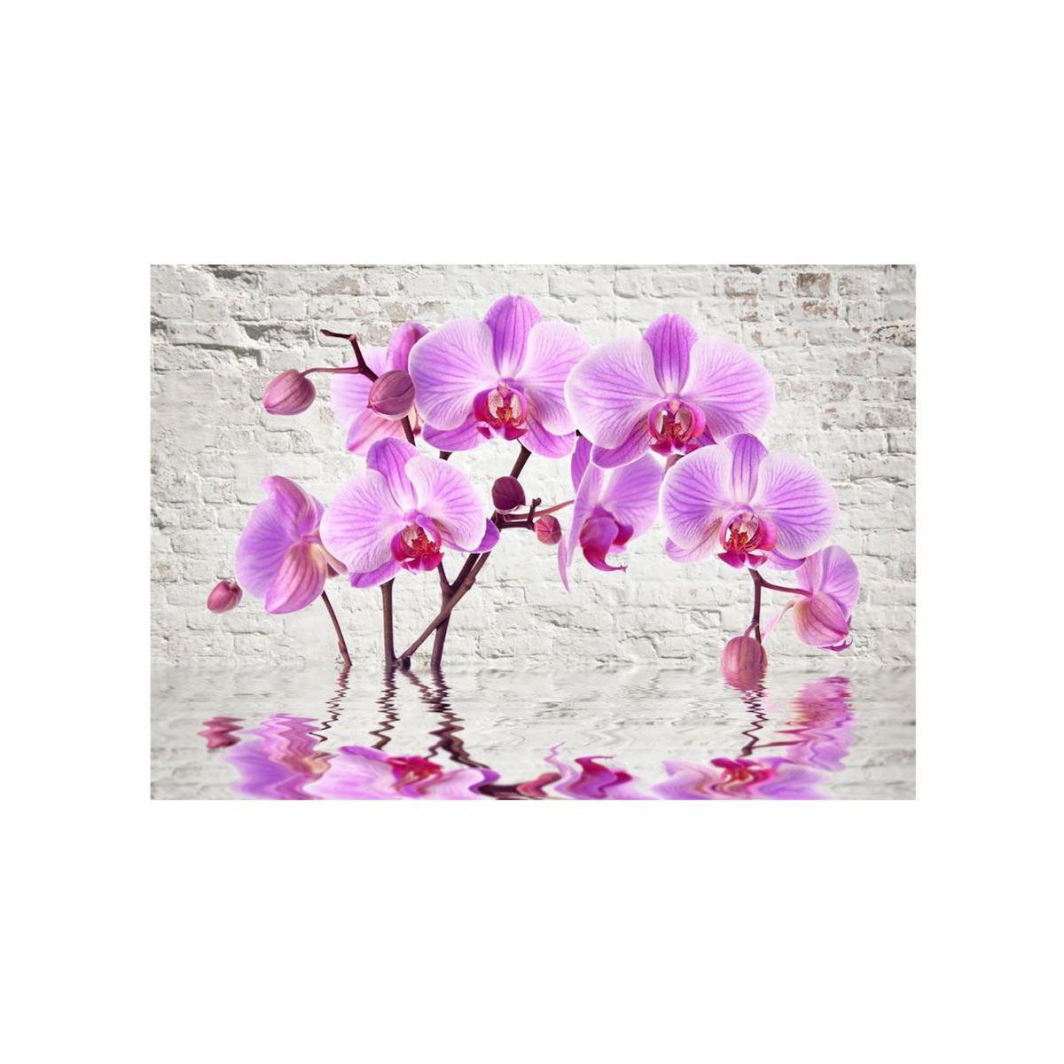 Paris Prix Papier Peint  Purple Delight