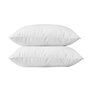 Voir la diapositive 2 : BLANREVE BLANREVE Lot de 2 Oreillers en coton - 60 x 60 cm - Blanc