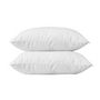Voir la diapositive 2 : BLANREVE BLANREVE Lot de 2 Oreillers en coton - 60 x 60 cm - Blanc