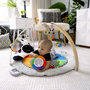 Voir la diapositive 2 : BABY EINSTEIN BABY EINSTEIN Tapis d'éveil Ocean Explorers - Zen le Zebre, arche de jeu en bois et jouets multisensoriels