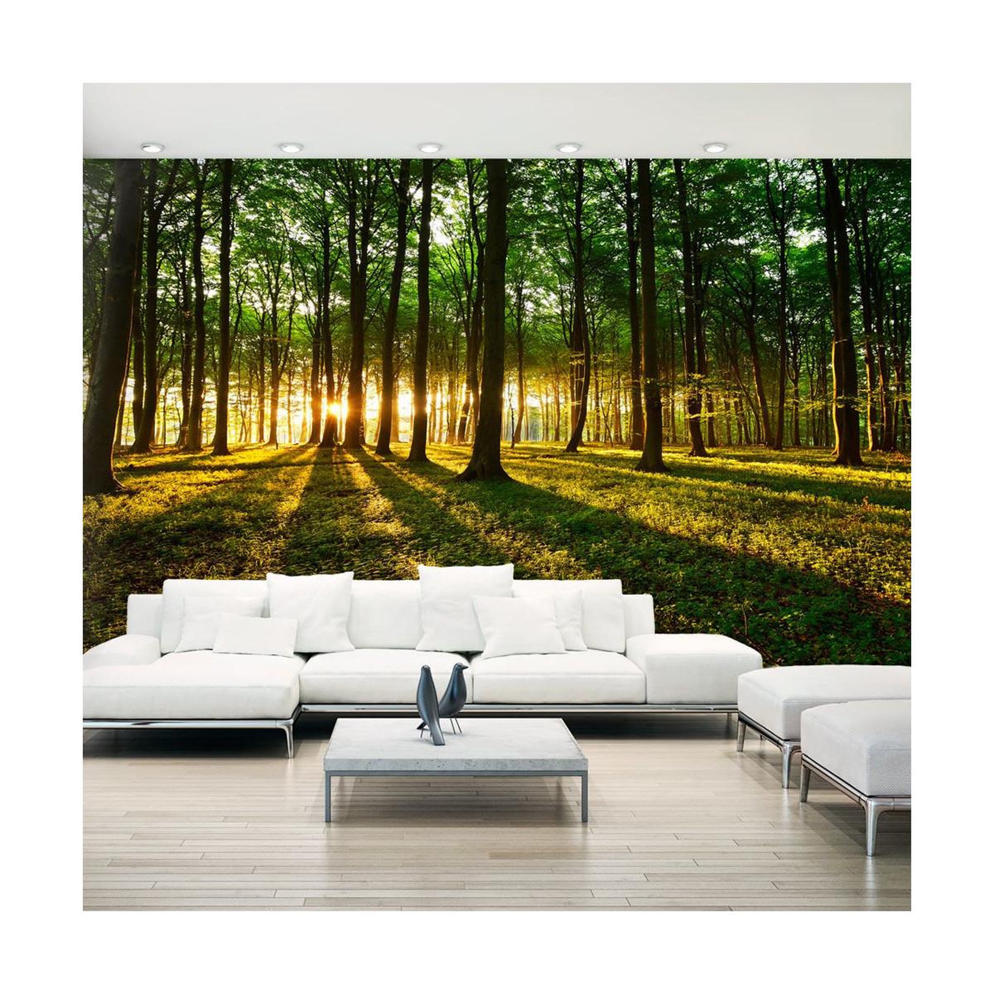 Paris Prix Papier peint xxl  mystical morning ii  280x500cm