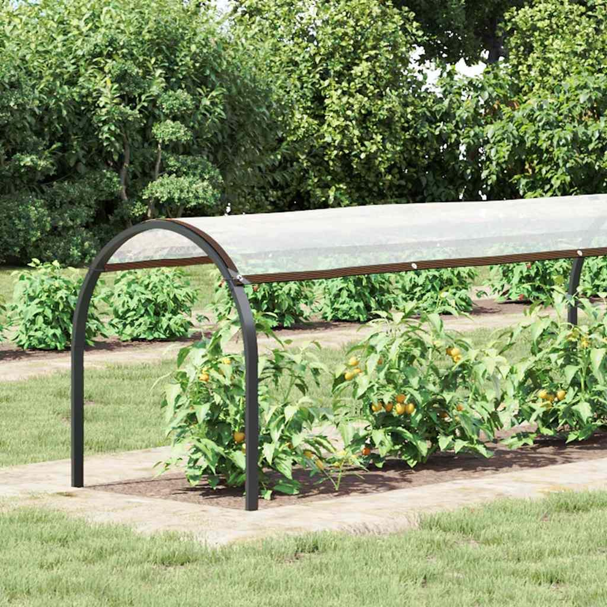 Voir la diapositive 2 : VIDAXL Housse de protection plantes avec œillets 1x8 m polyethylene