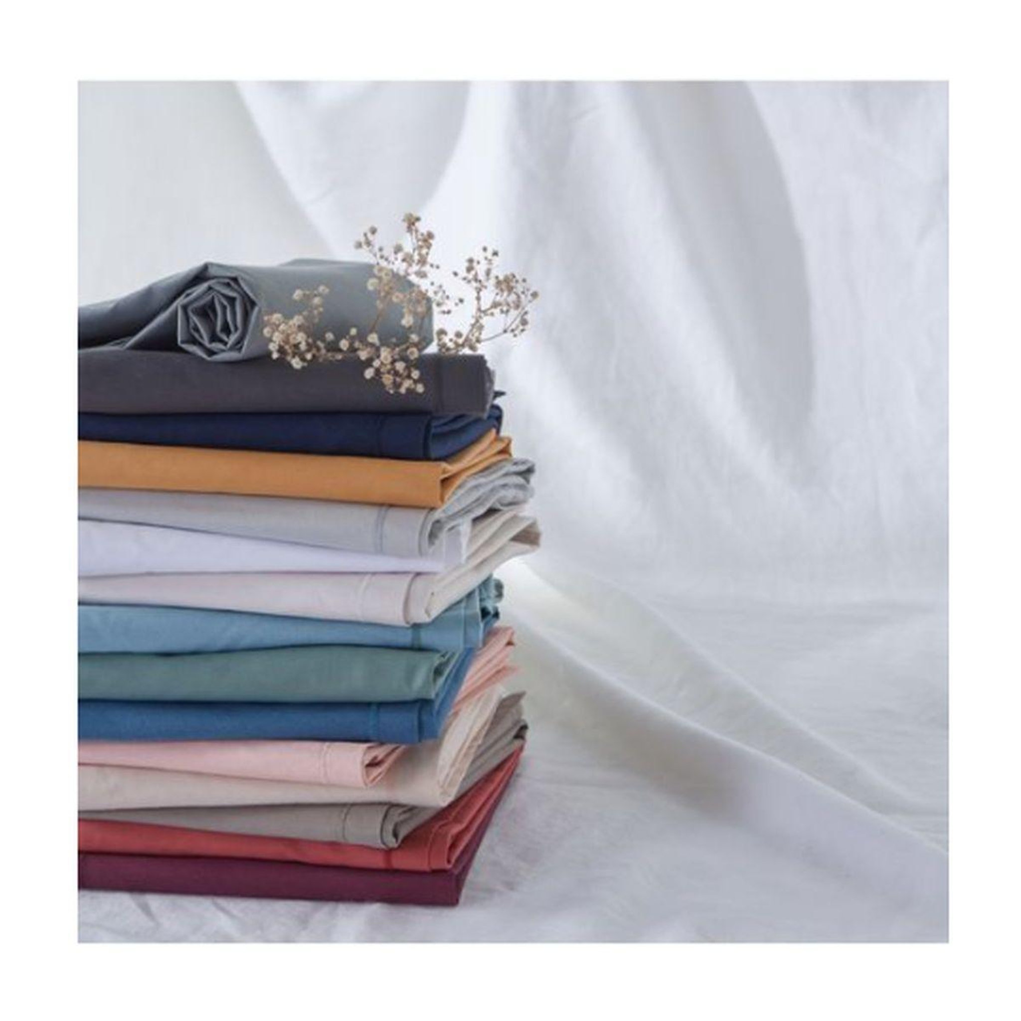 Voir la diapositive 1 : ACTUEL Drap plat uni en coton 57 fils - collection permanente