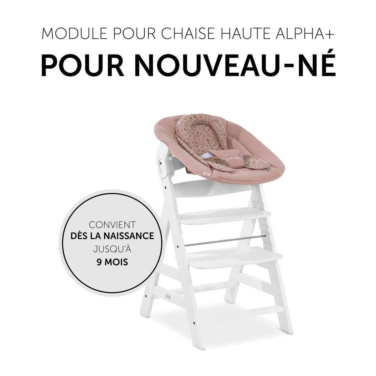 HAUCK Transat Alpha Bouncer 2en1