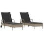 Voir la diapositive 2 : VIDAXL Chaises longues avec coussins lot de 2 gris resine tressee