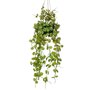 EMERALD Emerald Plante artificielle suspendue Ceropegia 50 cm en pot