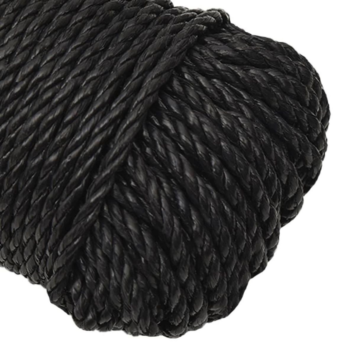 VIDAXL Corde de travail Noir 6 mm 500 m polypropylene