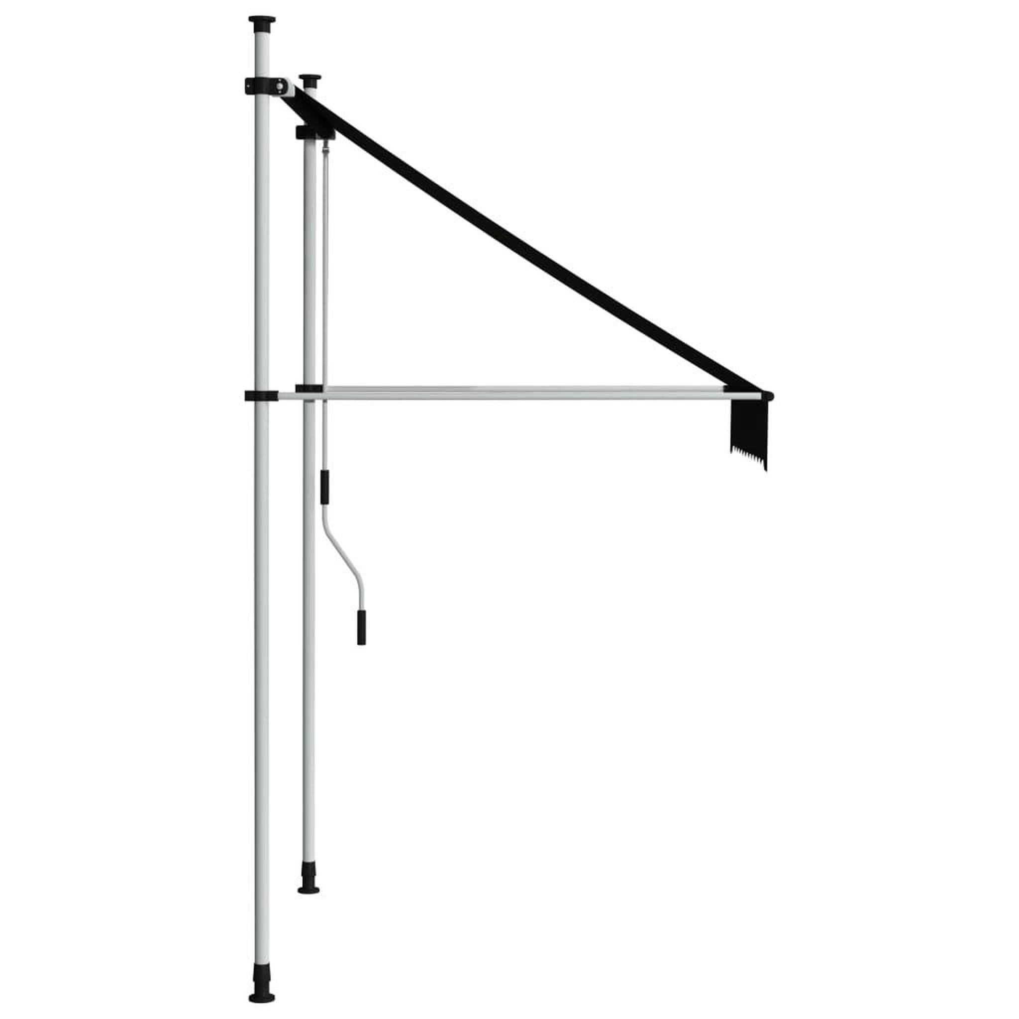 Voir la diapositive 3 : VIDAXL Auvent manuel retractable 100 cm anthracite