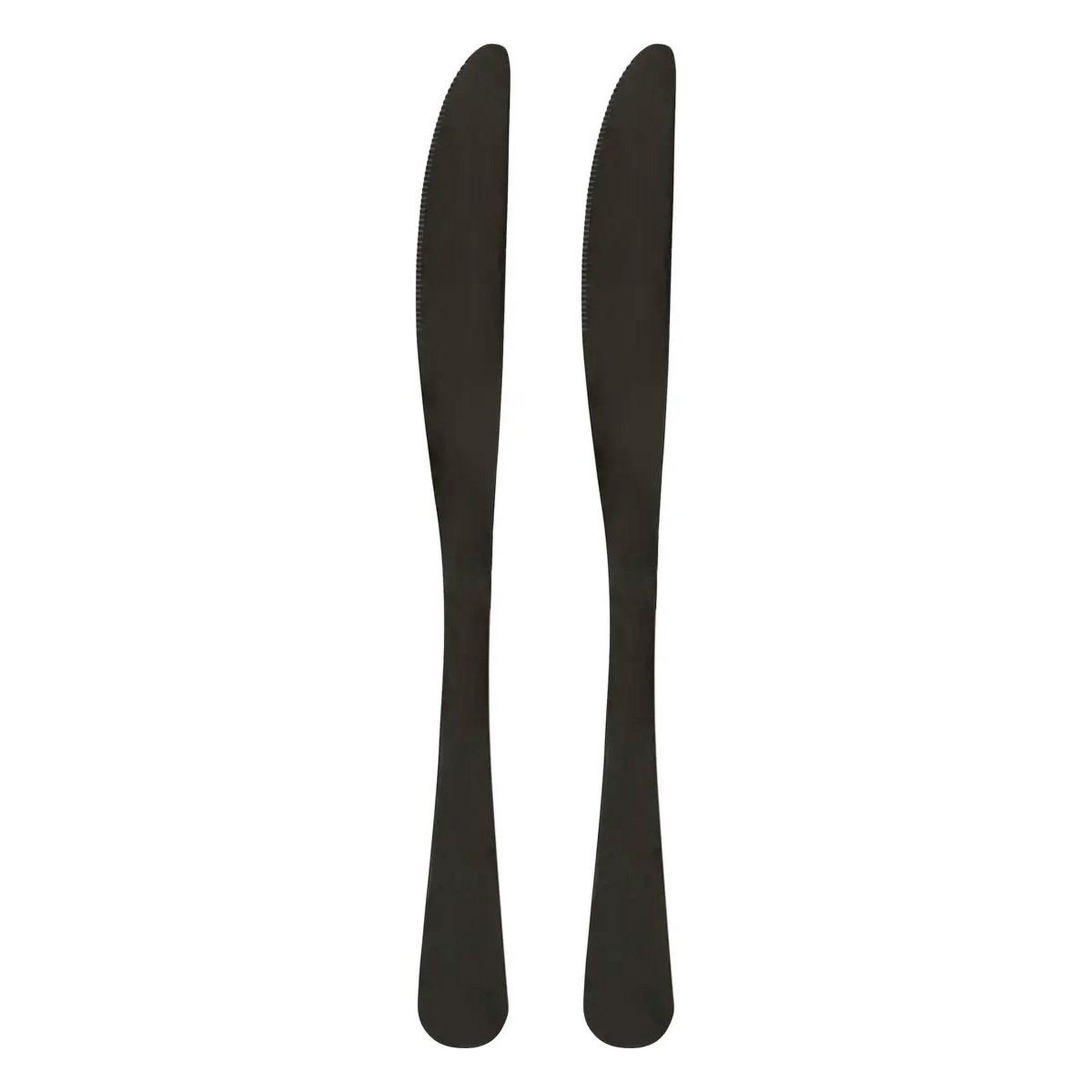 SECRET DE GOURMET Lot de 2 couteaux en inox  shadow  22cm noir