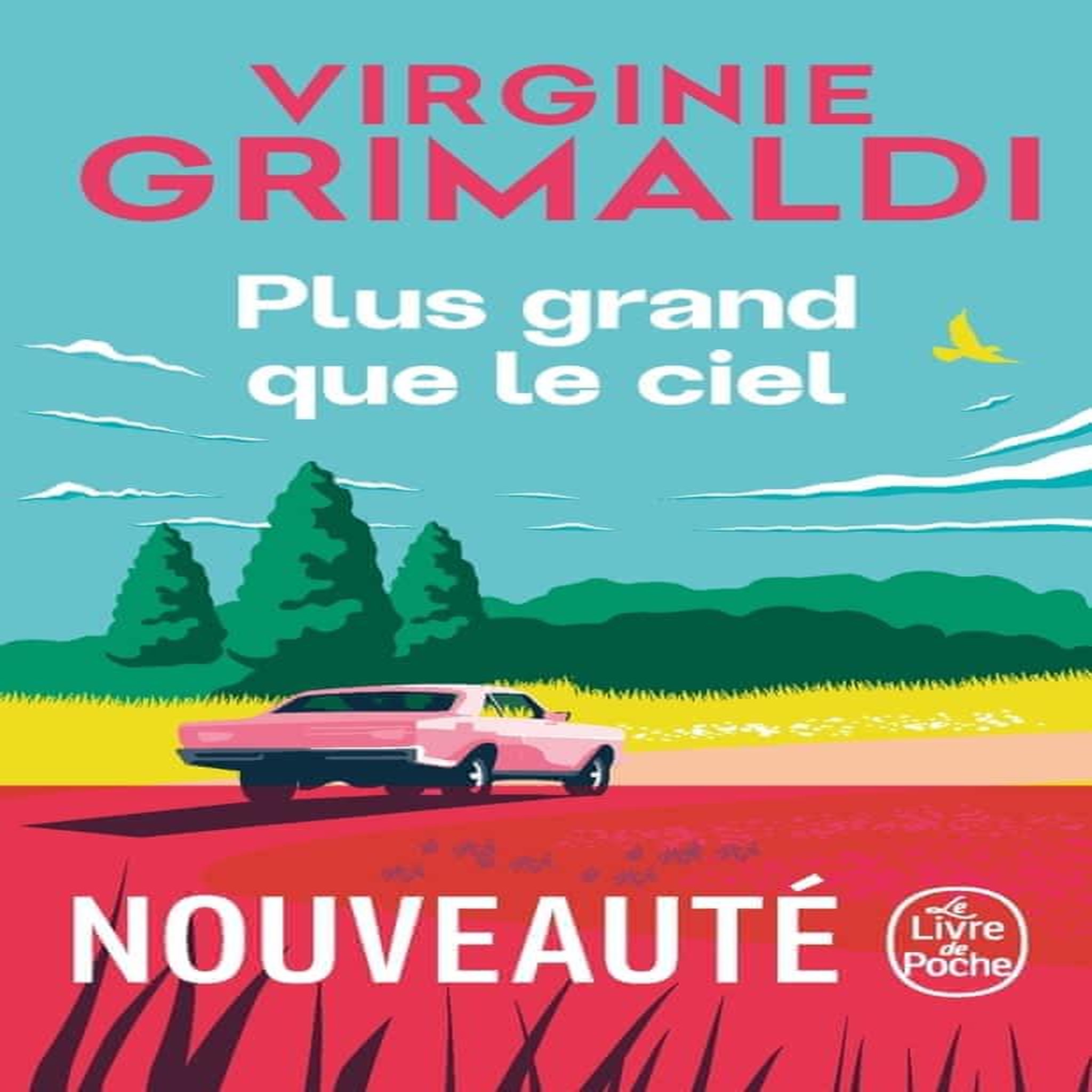 PLUS GRAND QUE LE CIEL, Grimaldi Virginie