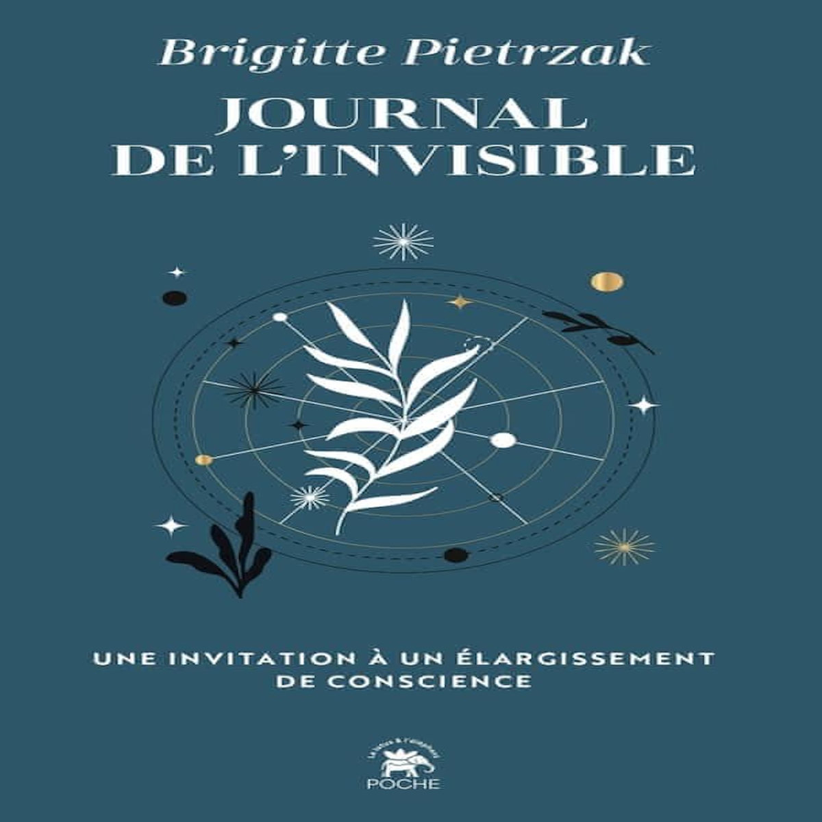 JOURNAL DE L'INVISIBLE. UNE INVITATION A UN ELARGISSEMENT DE CONSCIENCE, Pietrzak Brigitte