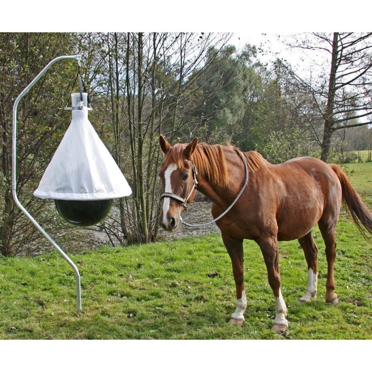 KERBL Kerbl Piege a taons TaonX Fer galvanise Blanc et noir