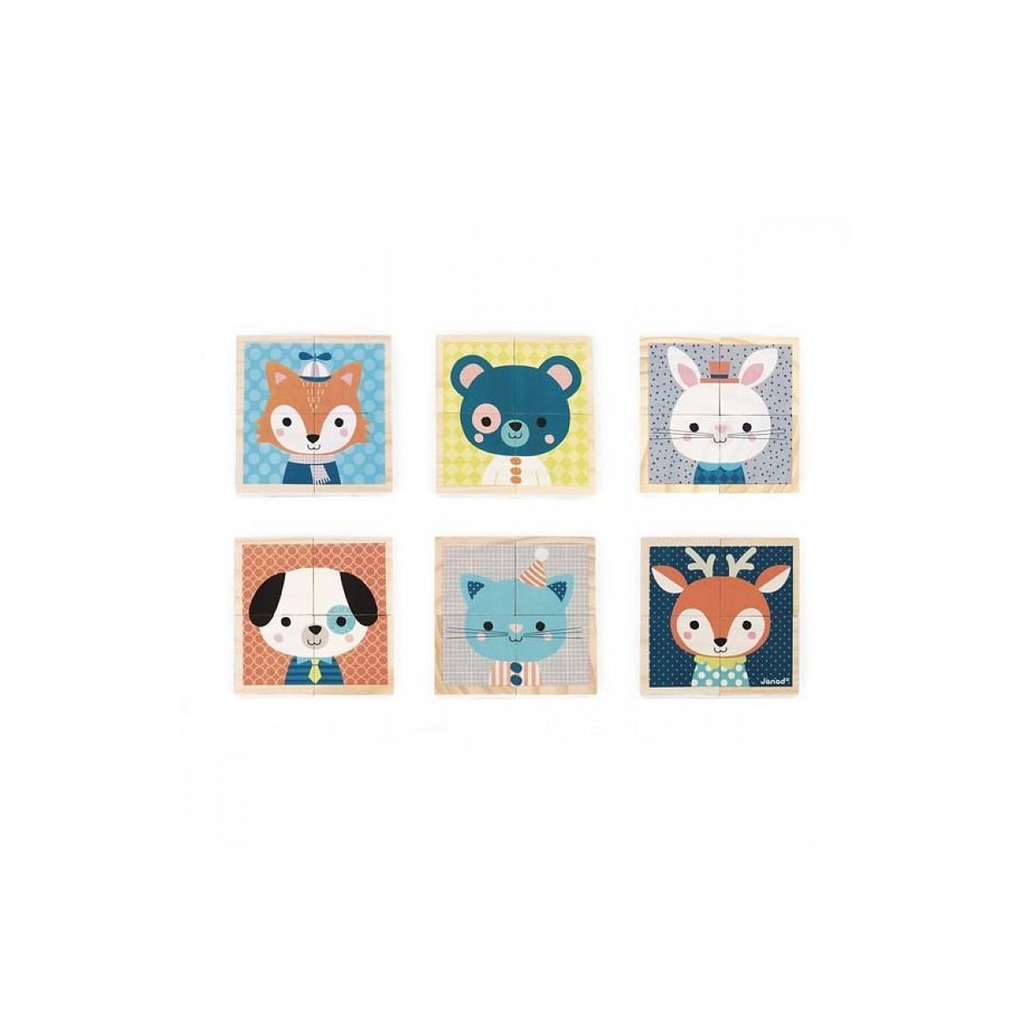 JANOD Mes premiers cubes portraits de la foret