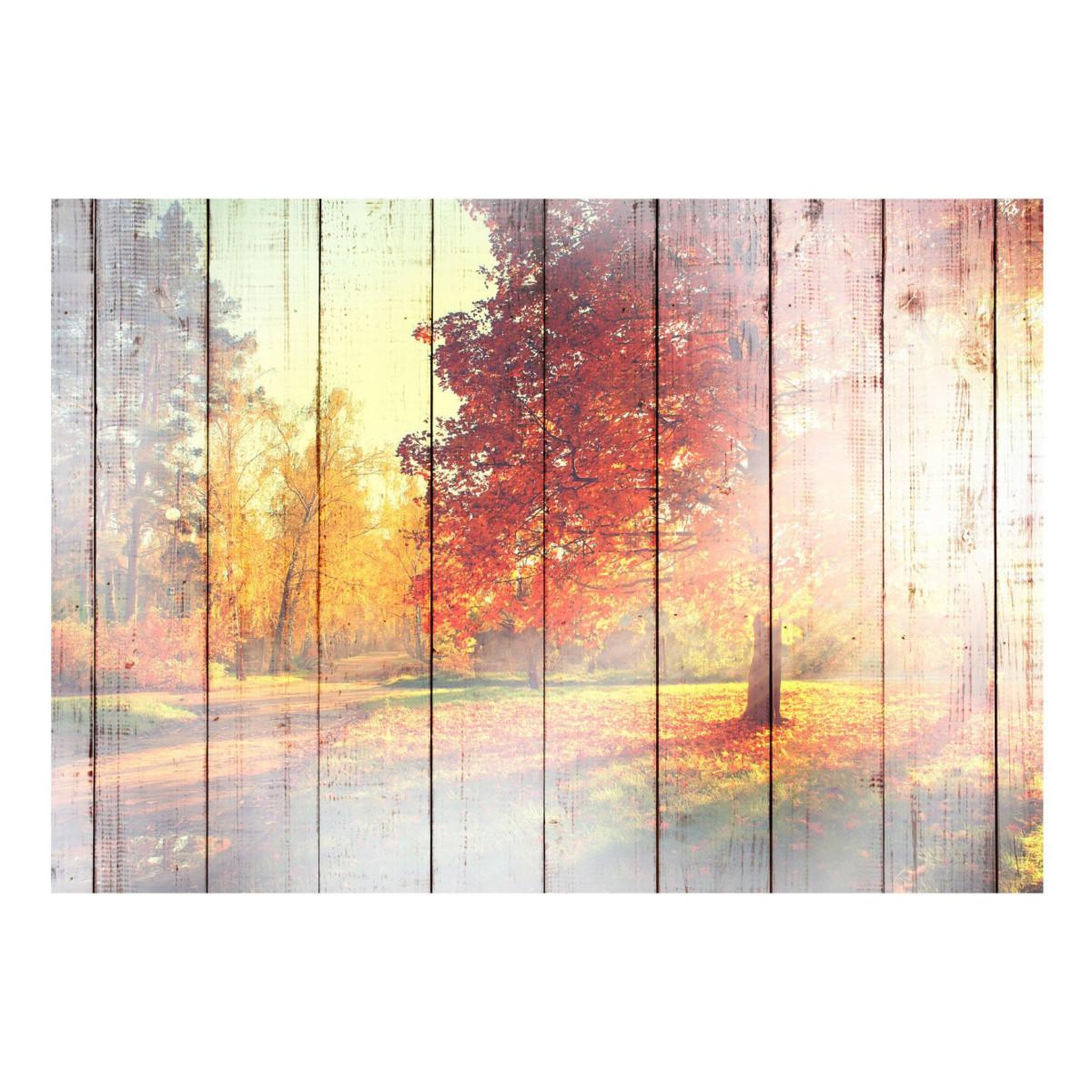 Voir la diapositive 2 : Paris Prix Papier Peint  Autumn Sun