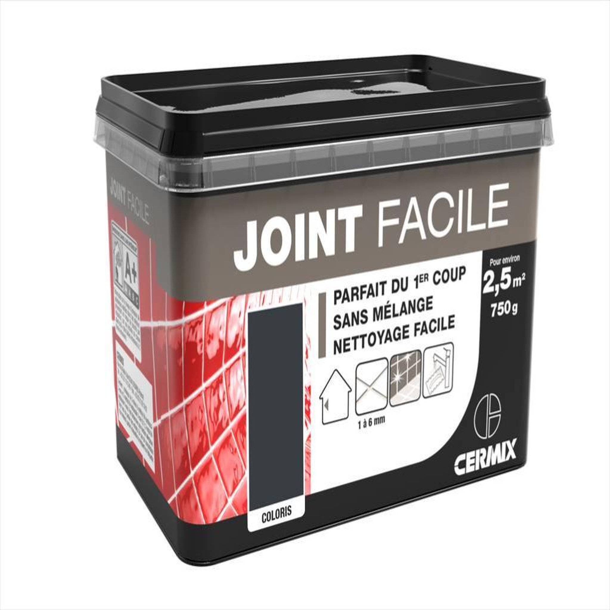 CENTRALE BRICO Joint pâte carrelage CERMIX gris 0.75 kg, 2.5 m² Joint facile gris fonce 2.5m²