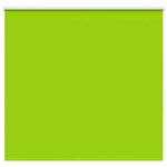 VIDAXL Store enrouleur occultant largeur du tissu 161,6 cm polyester