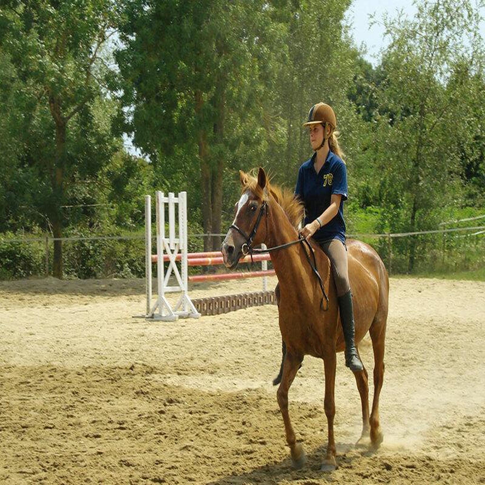 Voir la diapositive 2 : Smartbox Leçon d'équitation ou agréable balade à cheval - coffret cadeau sport & aventure