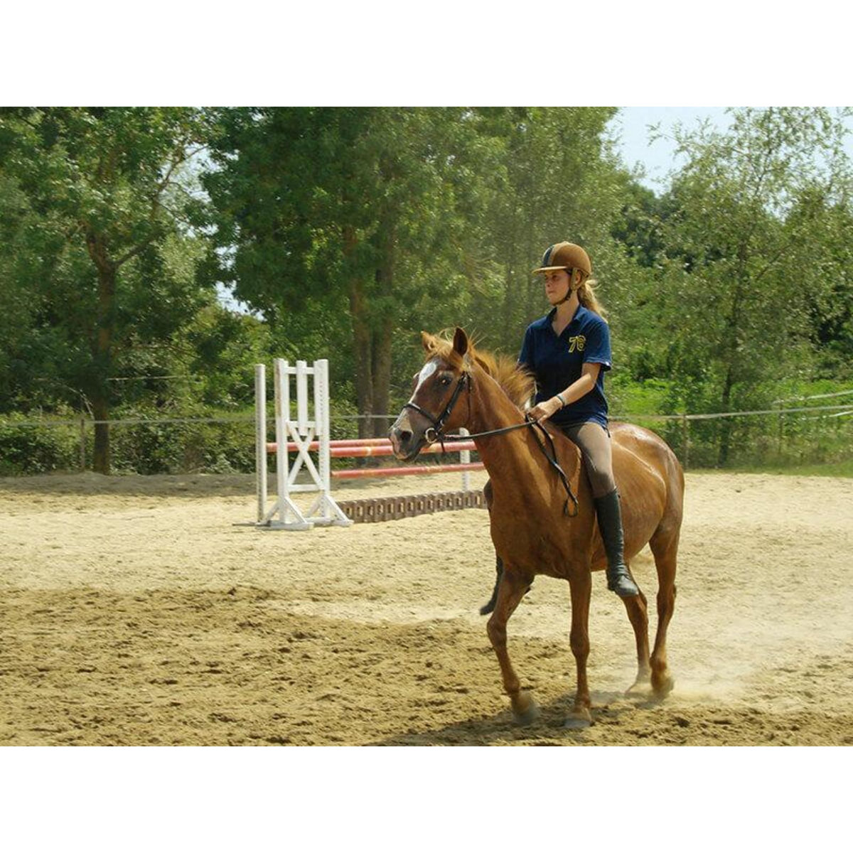 Smartbox Leçon d'équitation ou agréable balade à cheval - Coffret Cadeau Sport & Aventure