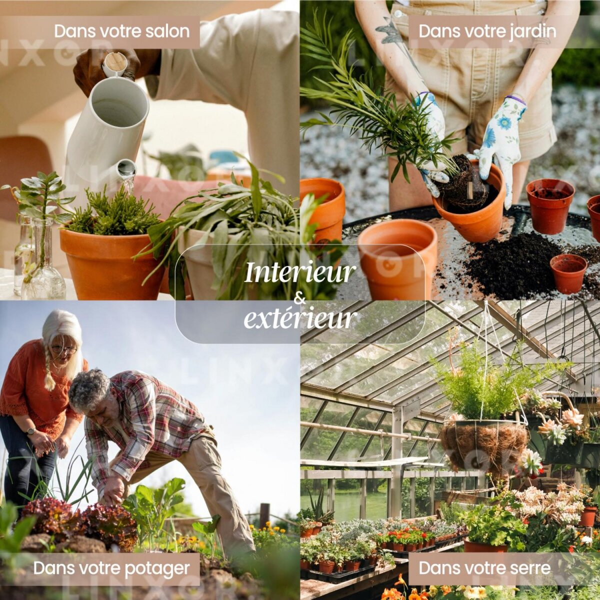 LINXOR Testeur, capteur d'humidité, hygromètre pour plante ou sol