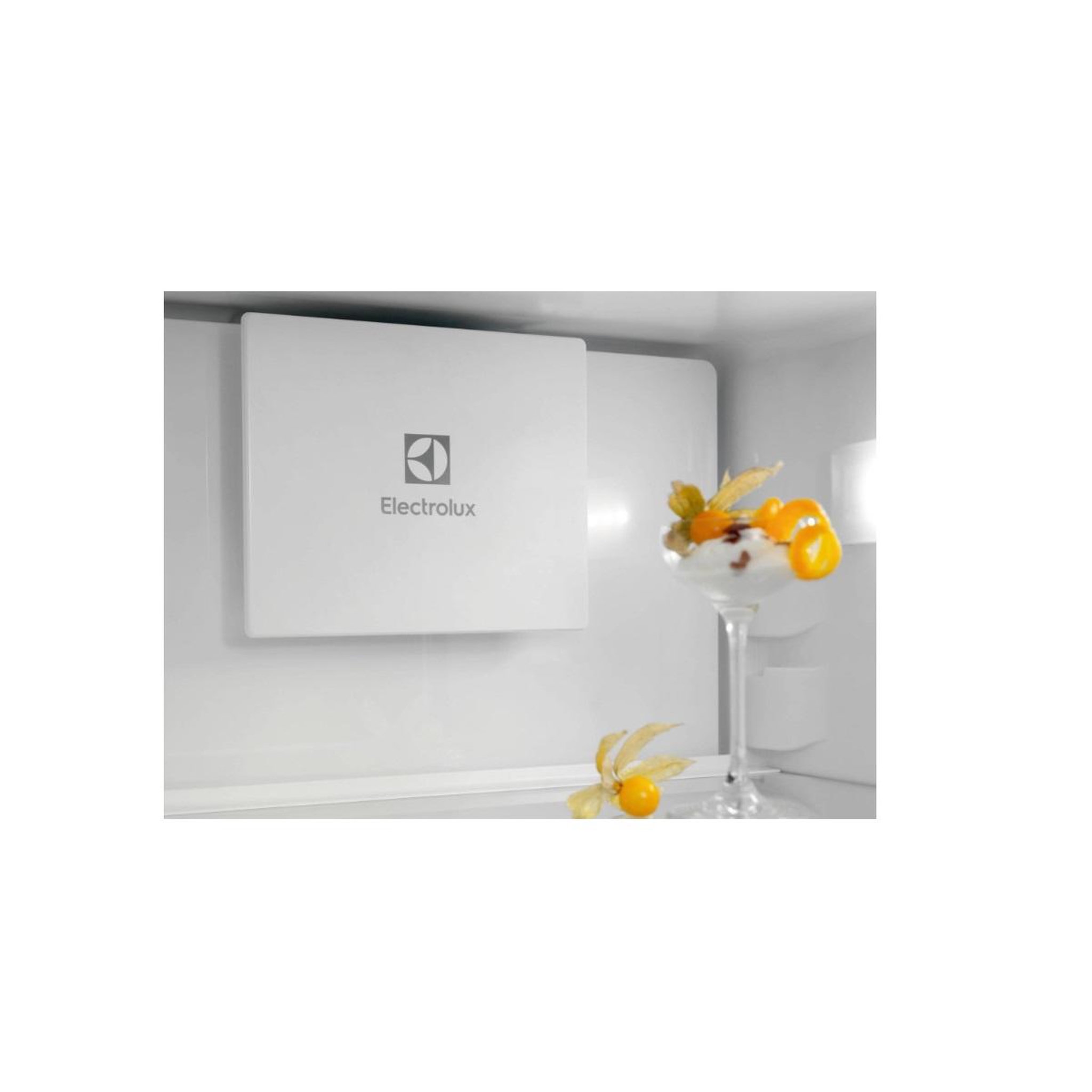 Voir la diapositive 3 : ELECTROLUX Réfrigérateur combiné intégrable à glissières 249l - lnt6me18s