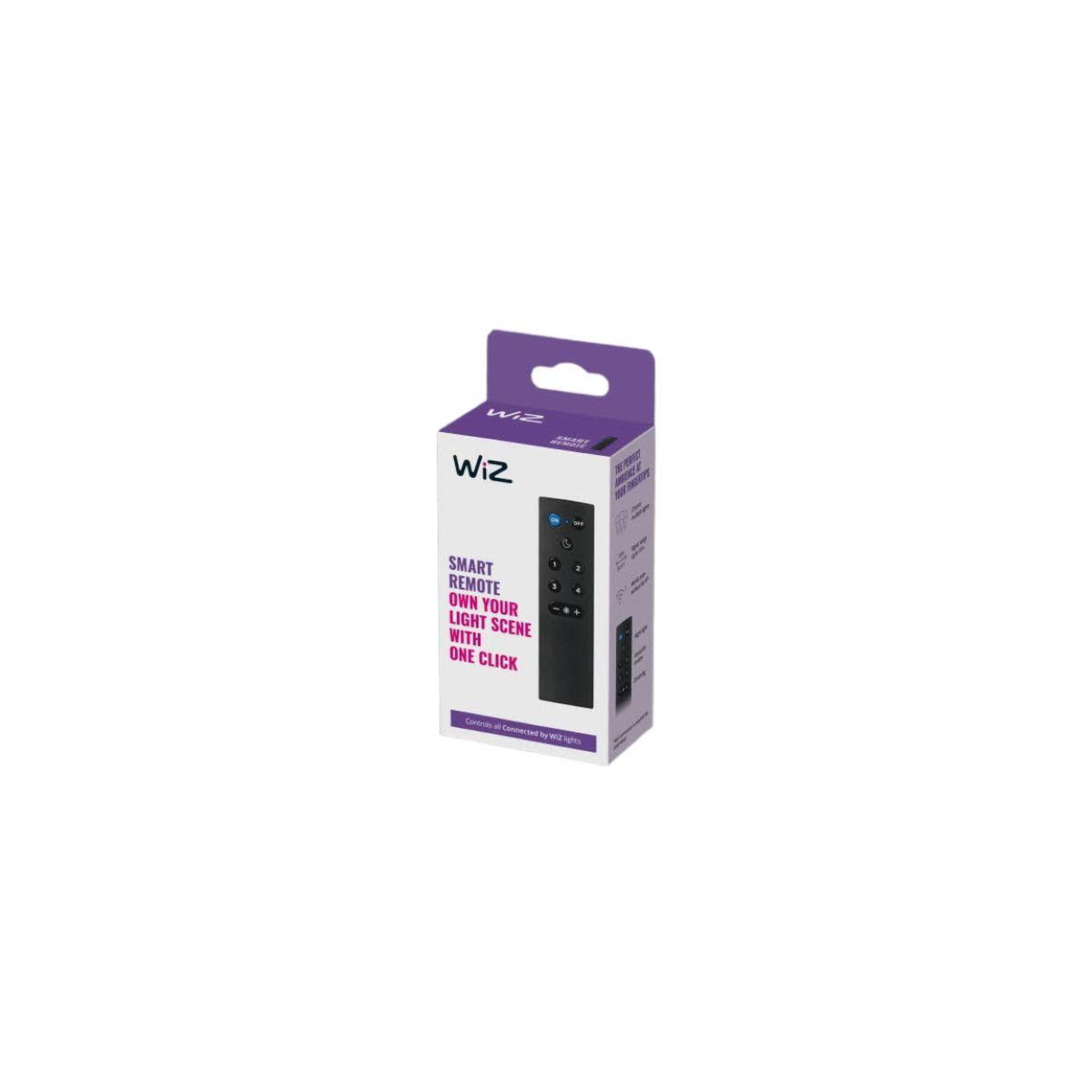 WIZ Télécommande Remote Control w/batteries