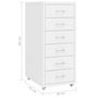 Voir la diapositive 6 : VIDAXL Classeur mobile Blanc 28x41x69 cm Metal
