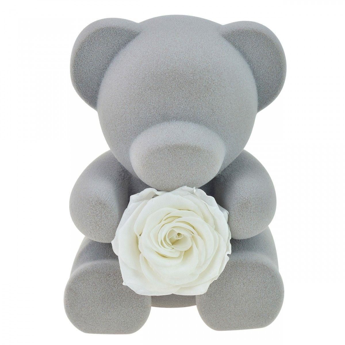 SC CRYSTAL Boite à bijoux ourson décorée d'une rose éternelle - stabilisée banche