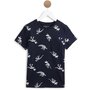IN EXTENSO T-shirt manches courtes dinosaures garçon
