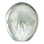 Voir la diapositive 1 : Paris Prix Presse-Papier en Verre Méduses  Calypso  16cm Vert
