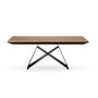 Voir la diapositive 2 : LISA DESIGN Capriccio - table à manger - extensible - bois et noir - 4 à 10 personnes - noir / bois