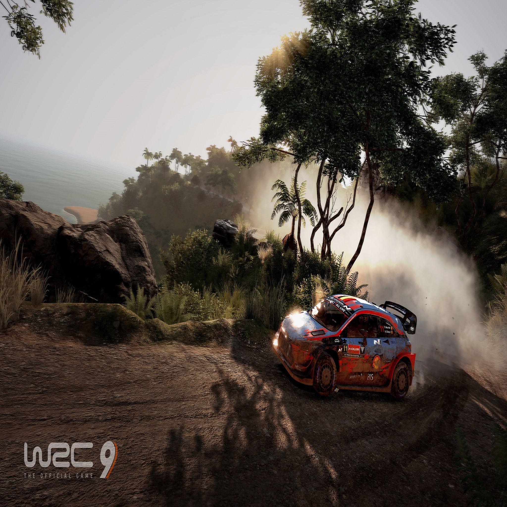 Voir la diapositive 8 : WRC 9 PS4