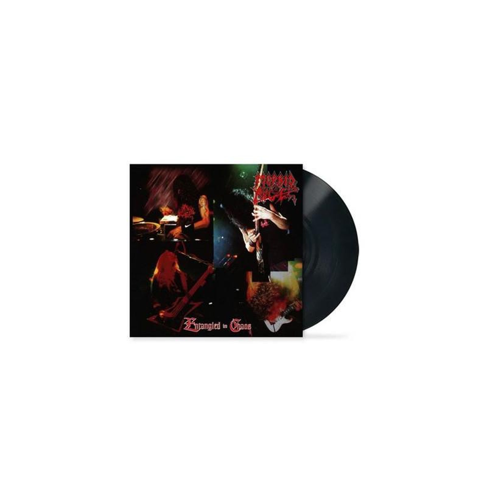 Album morbid angel, entangled in chaos (reissue) sur vinyle 33t noir 1 disque