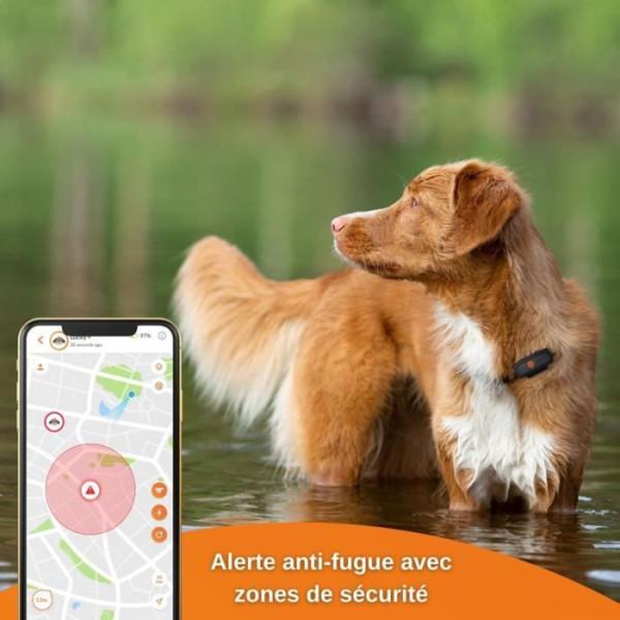 Voir la diapositive 6 : WEENECT Traceur GPS pour Chien - Weenect XS (Black Edition 2023)
