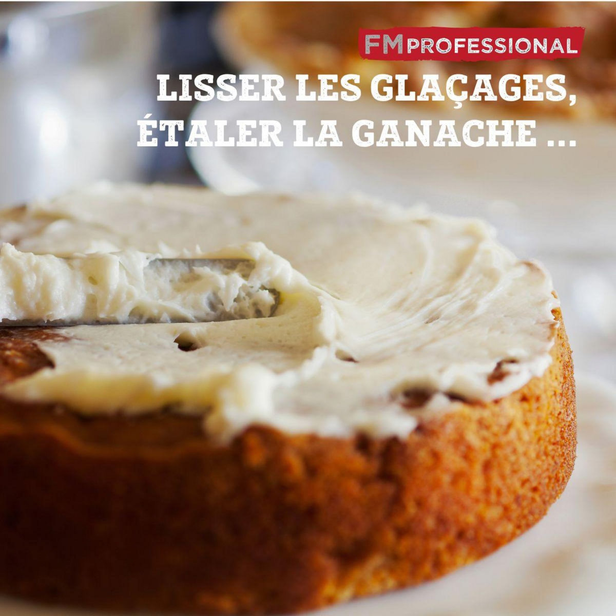 FM PROFESSIONAL Mini spatule coudée 22,5 cm FM Professional