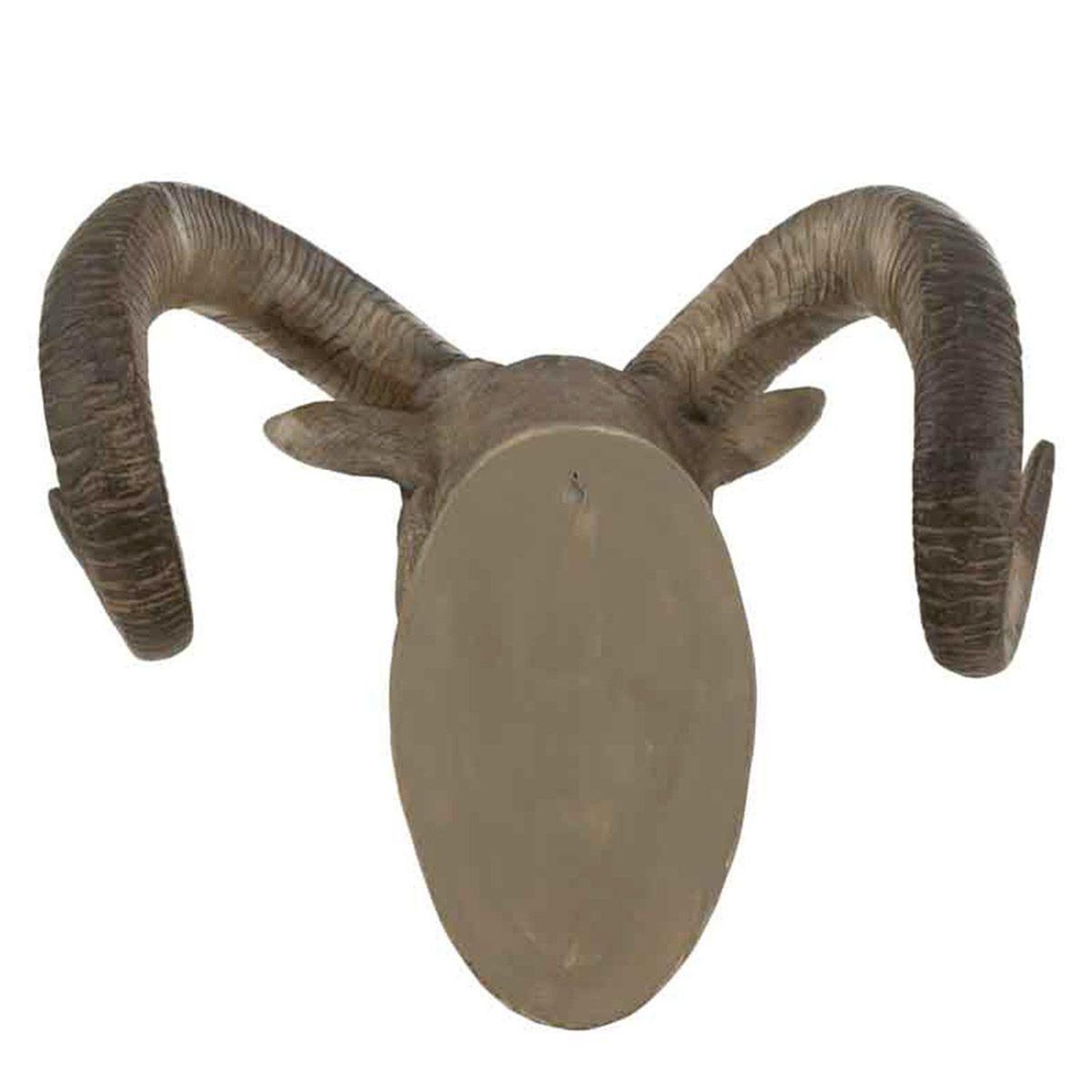 Voir la diapositive 3 : J-LINE Trophée Mural  Tête de Chèvre  48cm Gris & Marron