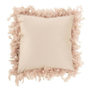 Voir la diapositive 1 : Paris Prix Coussin Déco  Plumes  45cm Rose Poudré